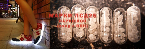 apvp Алзамай