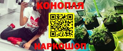 спайс Гусев