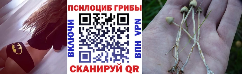 Псилоцибиновые грибы GOLDEN TEACHER  Кудрово 