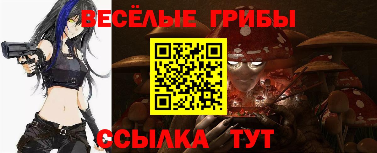 Псилоцибиновые грибы Magic Shrooms  Вход с VPN  Кудрово  Галлюциногенные грибы Psilocybe 