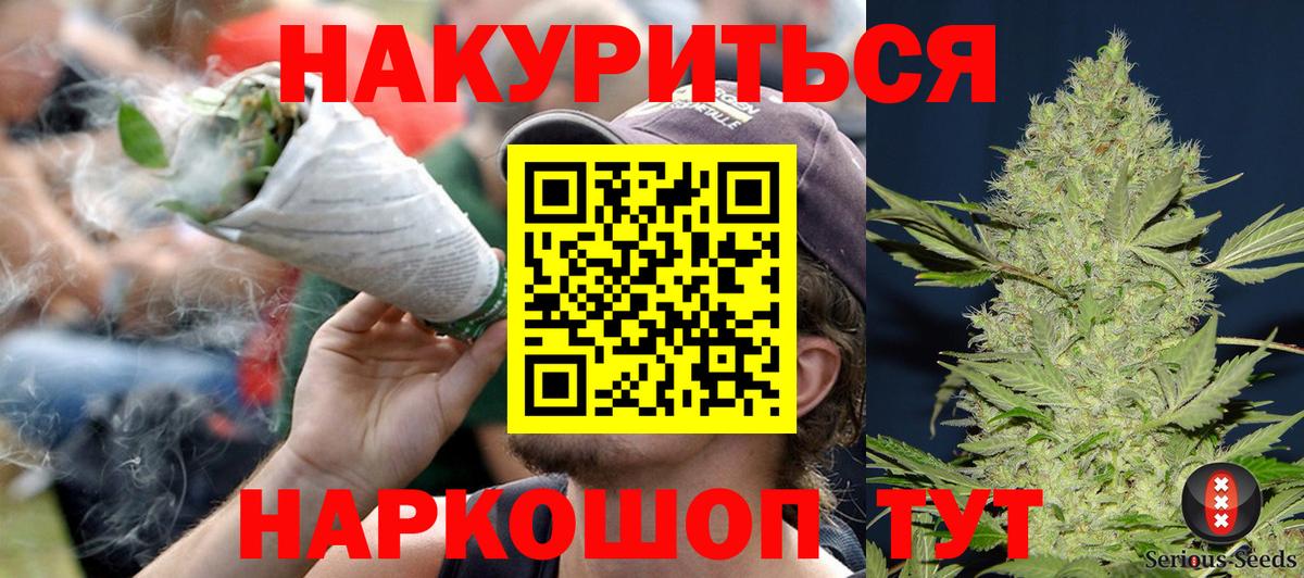 Марихуана сатива Кудрово